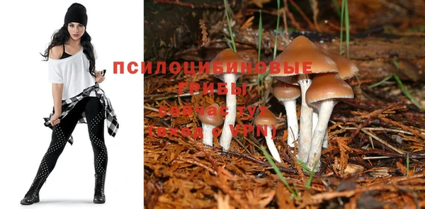 mdpv Аркадак