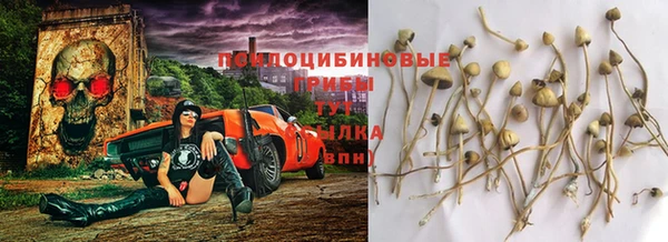 твердый Армянск