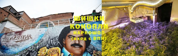 гидра Арсеньев